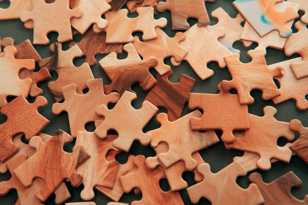 The Jigsaw Puzzle of Life